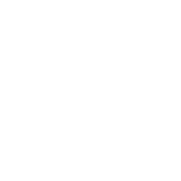 store white icon