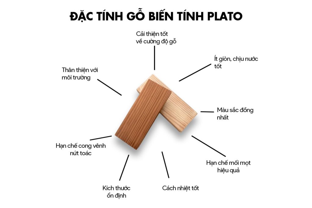 Ưu điểm của gỗ biến tính Plato