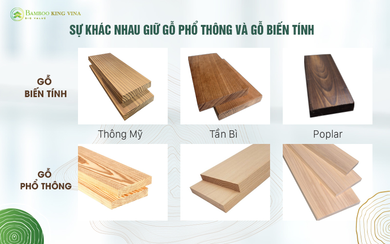 Sự Khác Biệt Giữa Gỗ Phổ Thông và Gỗ Biến Tính