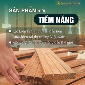 Sàn gỗ tự nhiên ngoài trời