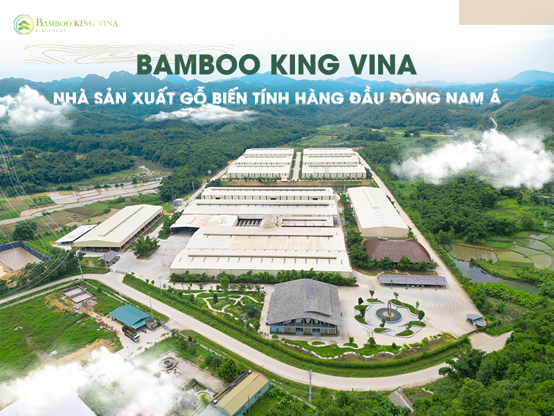 Bamboo King Vina- Nhà sản xuất gỗ biến tính hàng đầu Đông Nam Á