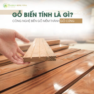 Gỗ biến tính là gì