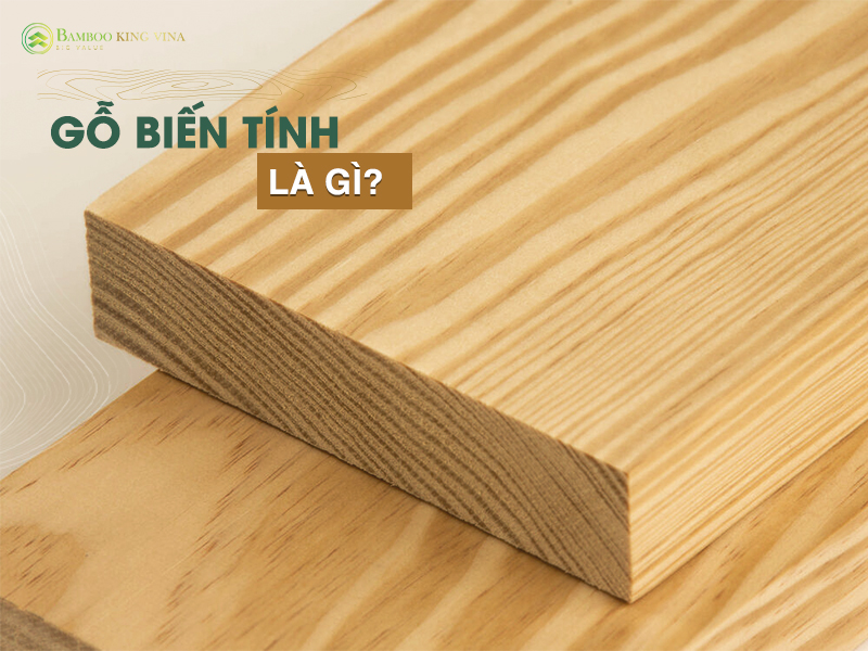 gỗ biến tính là gì