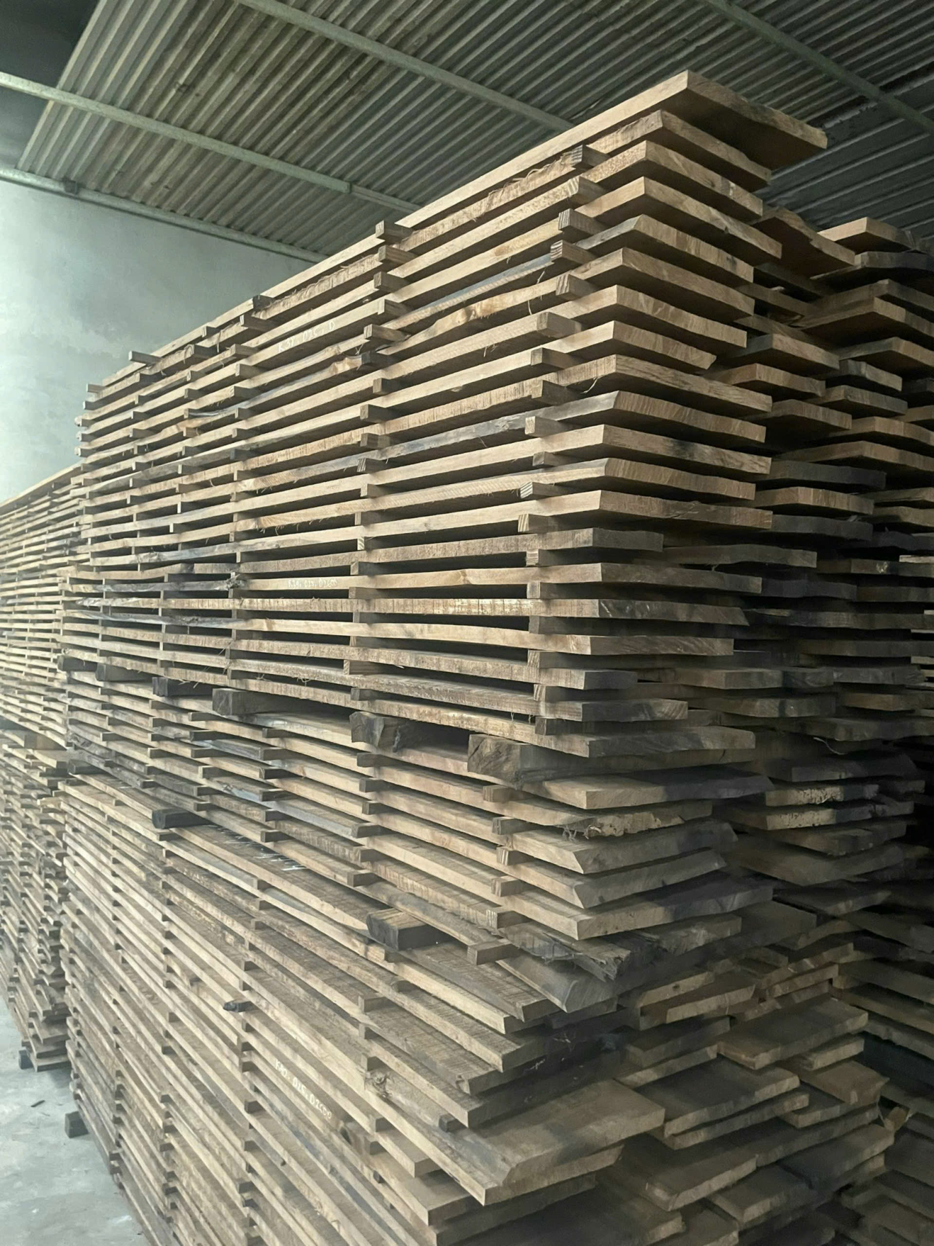 VÁN GỖ POPLAR BIẾN TÍNH